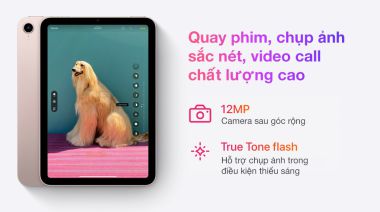 iPad mini 6 WiFi 64GB Cũ Đẹp